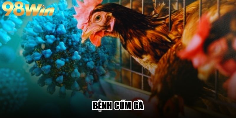 Bệnh Cúm Gà - Tìm Hiểu Nguyên Nhân Và Cách Phòng Tối Ưu