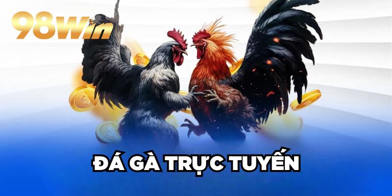 Đá Gà Trực Tuyến 98win| Sân Chơi Cược Kê Xanh Chín TOP 1